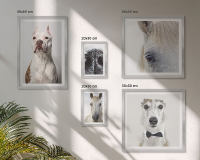 Pared galería de arte Retratos de animales modernos