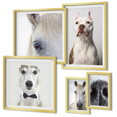 Pared galería de arte Retratos de animales modernos