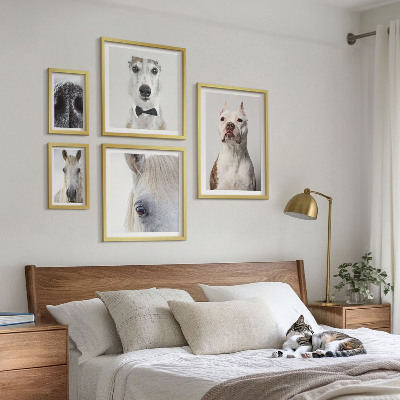 Pared galería de arte Retratos de animales modernos