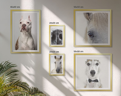 Pared galería de arte Retratos de animales modernos