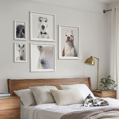 Pared galería de arte Retratos de animales modernos