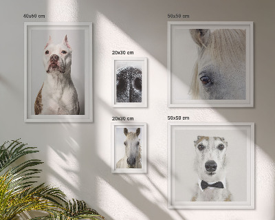 Pared galería de arte Retratos de animales modernos