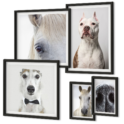 Pared galería de arte Retratos de animales modernos