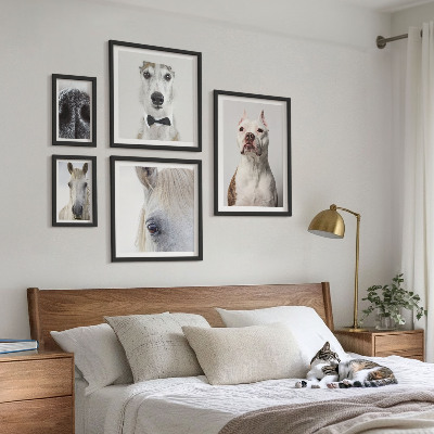Pared galería de arte Retratos de animales modernos