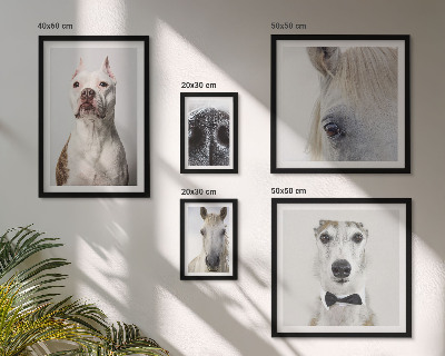 Pared galería de arte Retratos de animales modernos