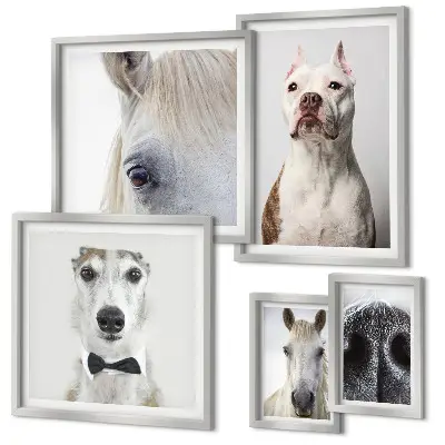 Retratos de animales modernos decoración para pared de galería de arte