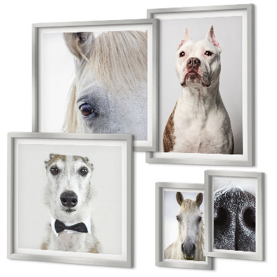 Pared galería de arte Retratos de animales modernos