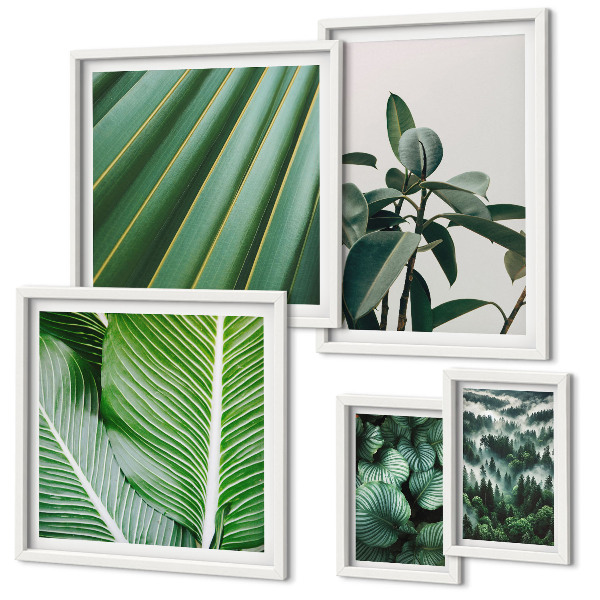 Pared galería de arte Inspiraciones de plantas tropicales