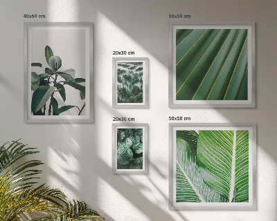 Pared galería de arte Inspiraciones de plantas tropicales