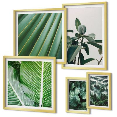 Pared galería de arte Inspiraciones de plantas tropicales