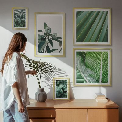 Pared galería de arte Inspiraciones de plantas tropicales