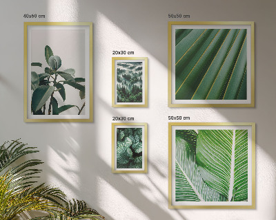 Pared galería de arte Inspiraciones de plantas tropicales