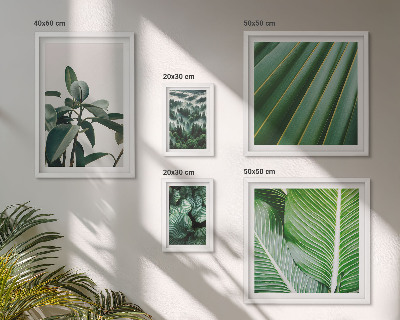 Pared galería de arte Inspiraciones de plantas tropicales