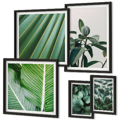 Pared galería de arte Inspiraciones de plantas tropicales