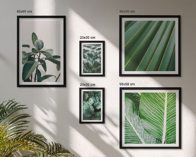 Pared galería de arte Inspiraciones de plantas tropicales