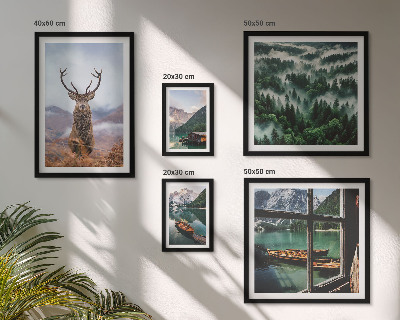 Conjunto de cuadros decorativos Naturaleza, animales salvajes, montañas