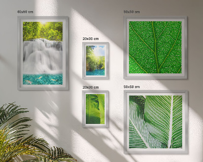 Conjunto de cuadros decorativos Cascadas de palmeras tropicales