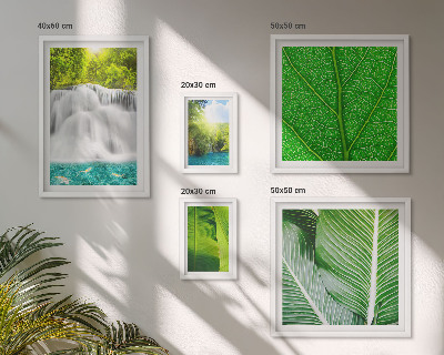 Conjunto de cuadros decorativos Cascadas de palmeras tropicales