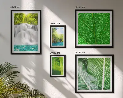 Conjunto de cuadros decorativos con diseño de cascadas y palmeras tropicales
