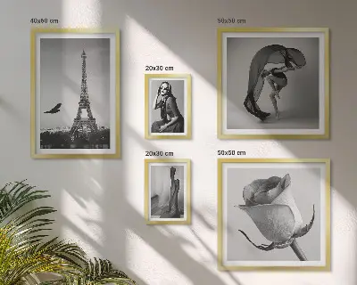 Set de 5 cuadros para salón diseño de París elegante en blanco y negro