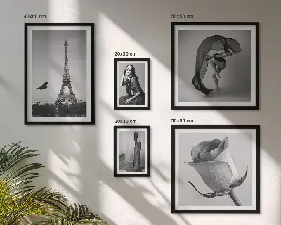 Set de 5 cuadros para salón diseño de París elegante en blanco y negro