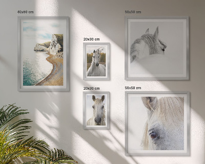 Set de 5 cuadros para salón Caballos playa naturaleza minimalismo