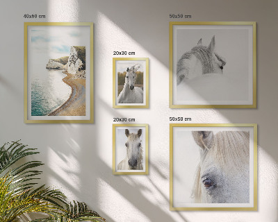 Set de 5 cuadros para salón Caballos playa naturaleza minimalismo