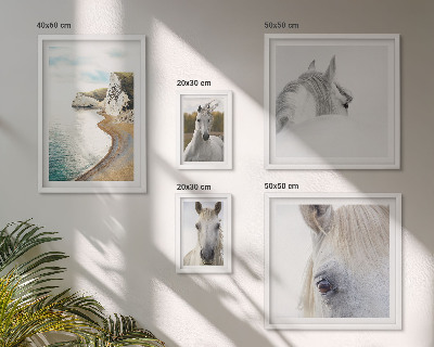 Set de 5 cuadros para salón Caballos playa naturaleza minimalismo