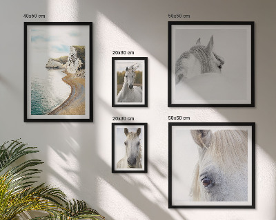 Set de 5 cuadros para salón Caballos playa naturaleza minimalismo