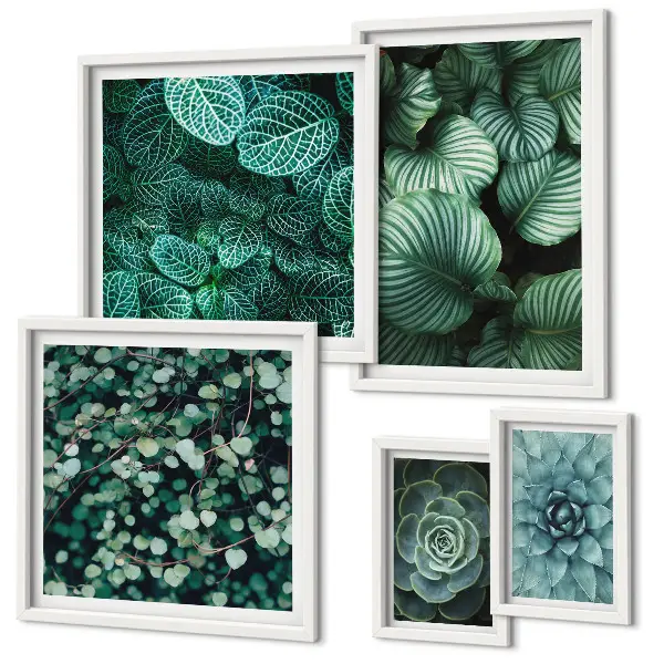 Set de 5 cuadros decorativos para salón con diseño de hojas de plantas suculentas