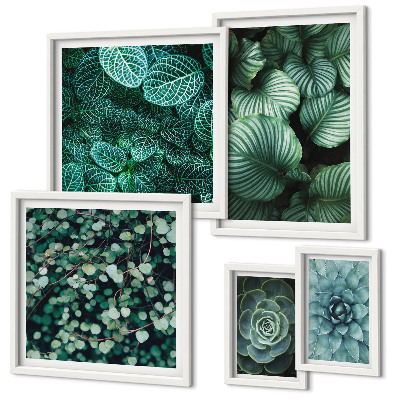 Set de 5 cuadros para salón Hojas de plantas suculentas naturaleza