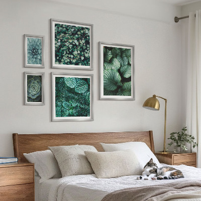 Set de 5 cuadros para salón Hojas de plantas suculentas naturaleza