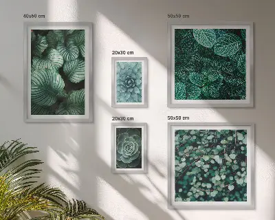 Set de 5 cuadros decorativos para salón con diseño de hojas de plantas suculentas