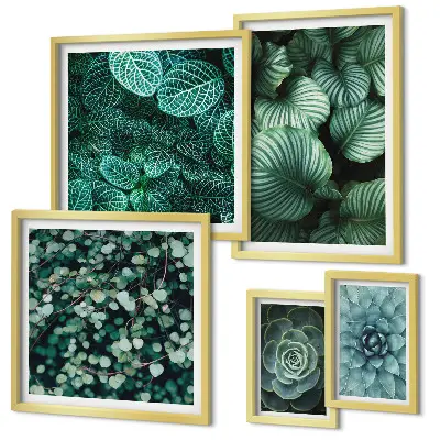 Set de 5 cuadros decorativos para salón con diseño de hojas de plantas suculentas