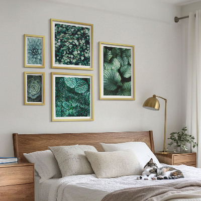 Set de 5 cuadros para salón Hojas de plantas suculentas naturaleza