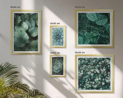 Set de 5 cuadros decorativos para salón con diseño de hojas de plantas suculentas