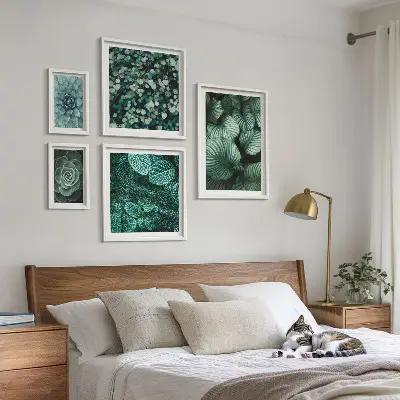 Set de 5 cuadros decorativos para salón con diseño de hojas de plantas suculentas