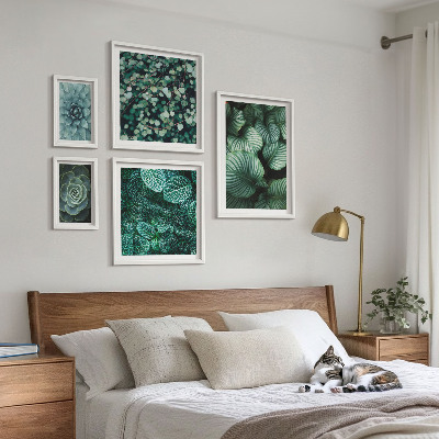 Set de 5 cuadros para salón Hojas de plantas suculentas naturaleza
