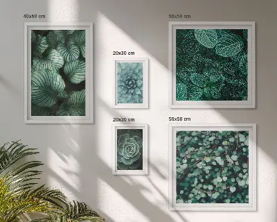 Set de 5 cuadros decorativos para salón con diseño de hojas de plantas suculentas