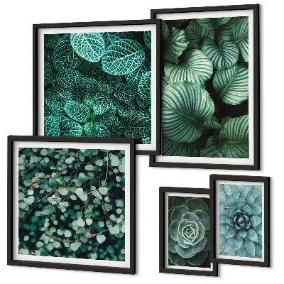 Set de 5 cuadros decorativos para salón con diseño de hojas de plantas suculentas