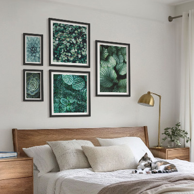 Set de 5 cuadros para salón Hojas de plantas suculentas naturaleza