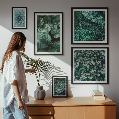 Set de 5 cuadros para salón Hojas de plantas suculentas naturaleza