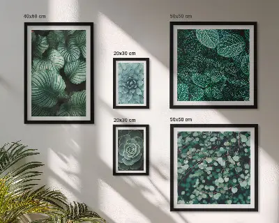 Set de 5 cuadros decorativos para salón con diseño de hojas de plantas suculentas