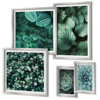 Set de 5 cuadros decorativos para salón con diseño de hojas de plantas suculentas