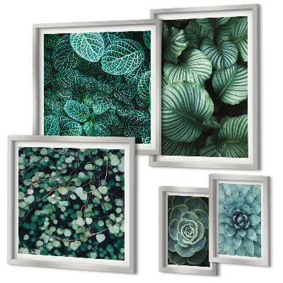 Set de 5 cuadros para salón Hojas de plantas suculentas naturaleza