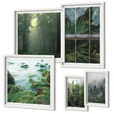 Conjunto de cuadros decorativos con paisajes de bosques y vegetación verde