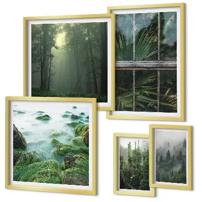Conjunto de cuadros decorativos con paisajes de bosques y vegetación verde