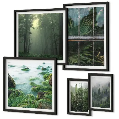 Conjunto de cuadros decorativos con paisajes de bosques y vegetación verde