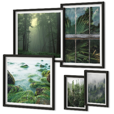 Conjunto de cuadros decorativos Paisajes verdes, bosques, vegetación