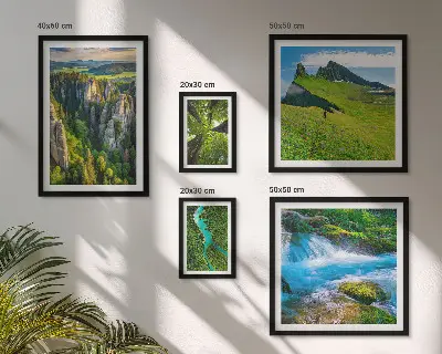 Conjunto de cuadros decorativos con diseño de paisajes de montañas, ríos y bosques